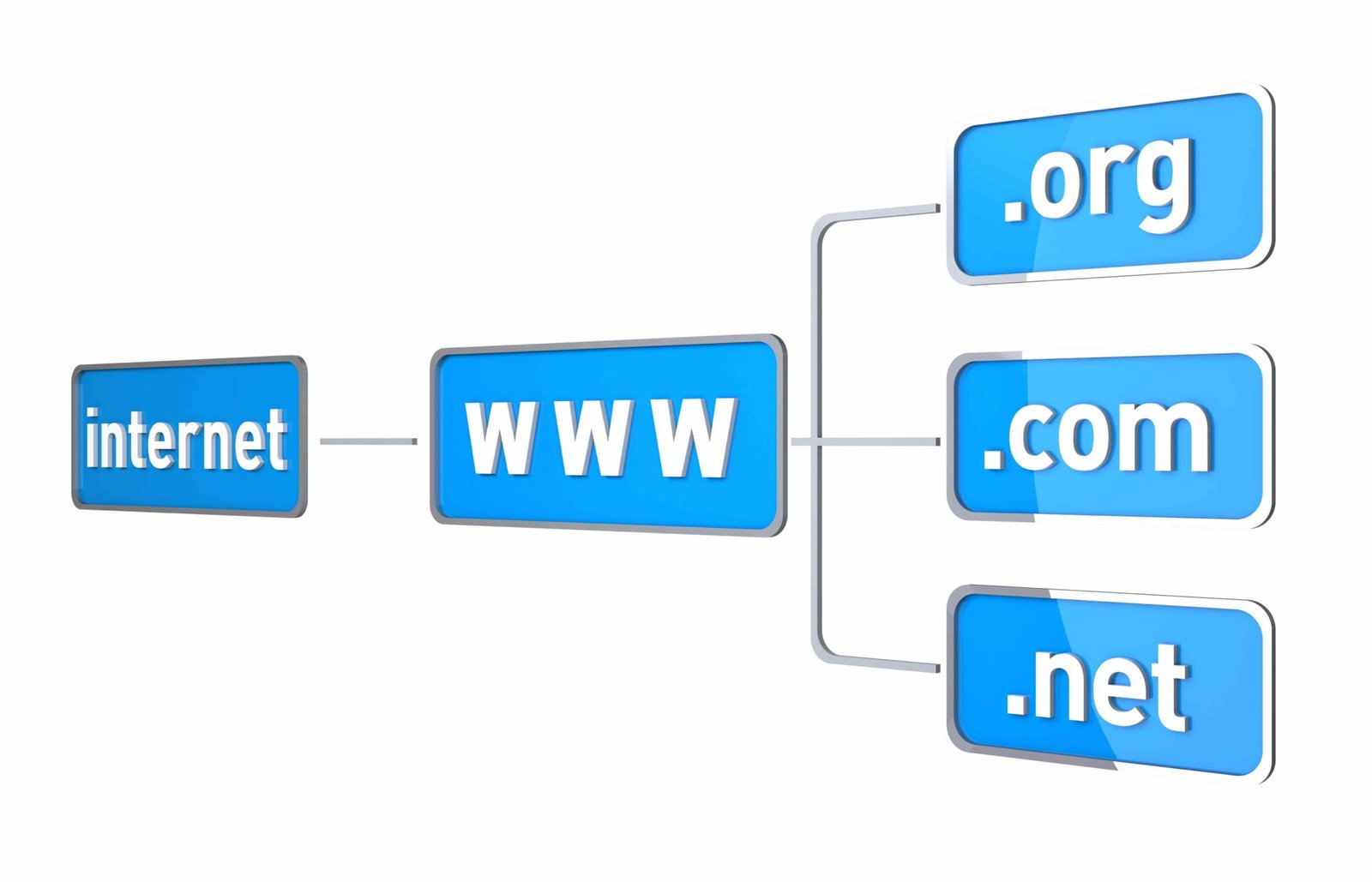 What S The Difference Between Com Vs Org Vs Net Expired Domains What S The Difference Between Com Vs Org Vs Net Expired Domains